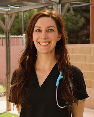 Katie Gray, DVM, St. George Medical Director