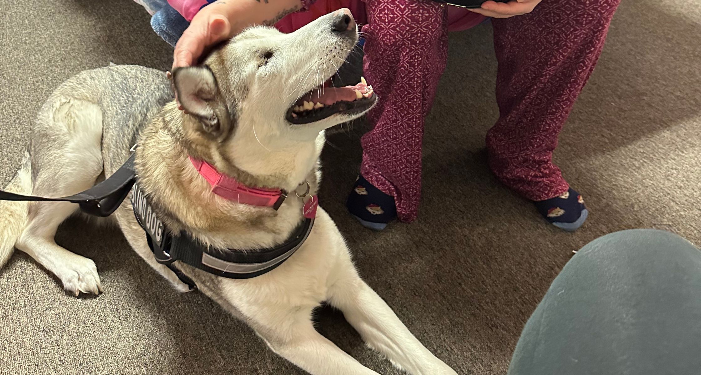 Spreading Compassion: Kira’s Story