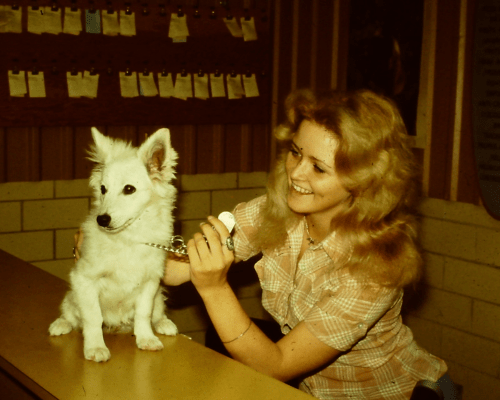 Woman helping a small white dog