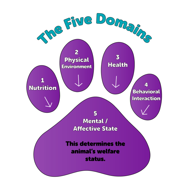 5 DOMAINS PAW PRINT GRAPHIC