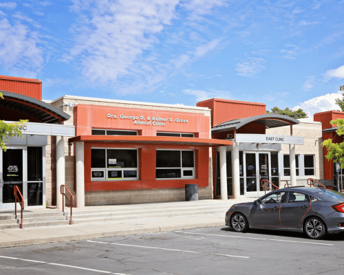 The Humane Society of Utah's Murray clinic location offers microchipping services for pets on a walk-in basis.