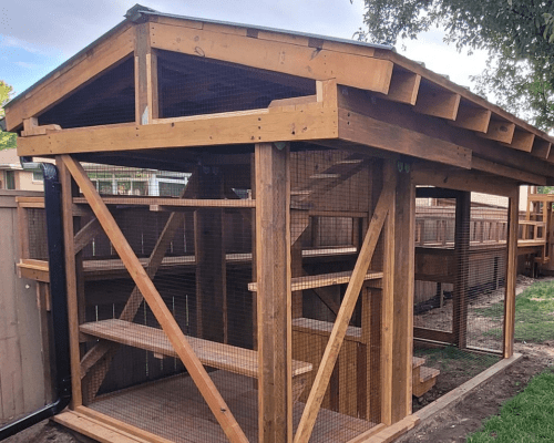 Wooden catio structure